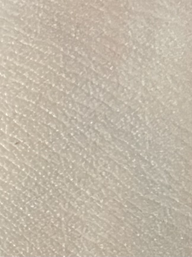 ウォンジョンヨ トーンアップベース/Wonjungyo/化粧下地を使ったクチコミ（3枚目）