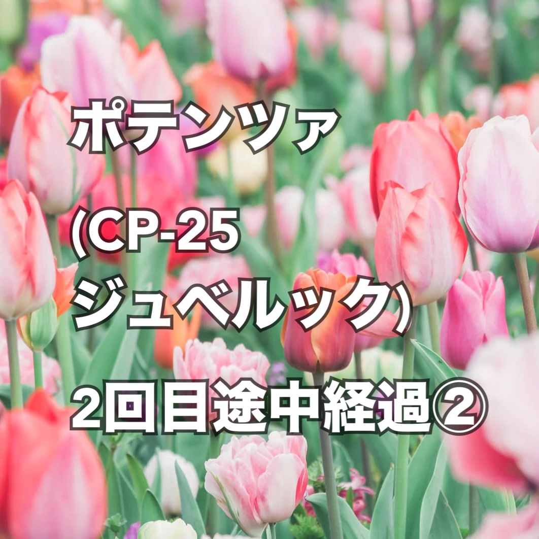 6/6夜 
#ポテンツァ
#ジュベルック
#美容医療 #肌治療