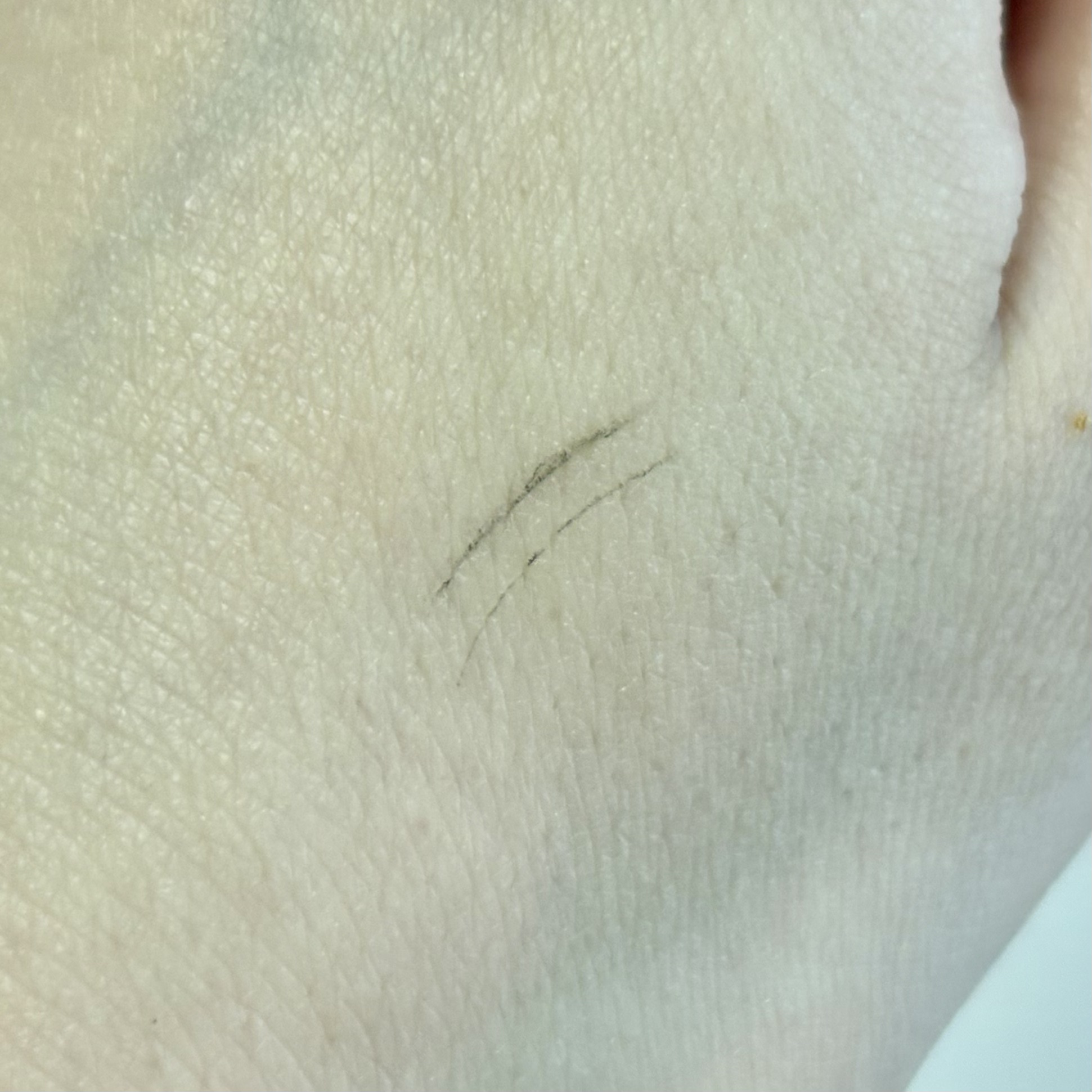 ブロウラッシュEX　ウルトラスキニーペンシルブロウ N/ブロウラッシュ/アイブロウペンシルを使ったクチコミ（2枚目）