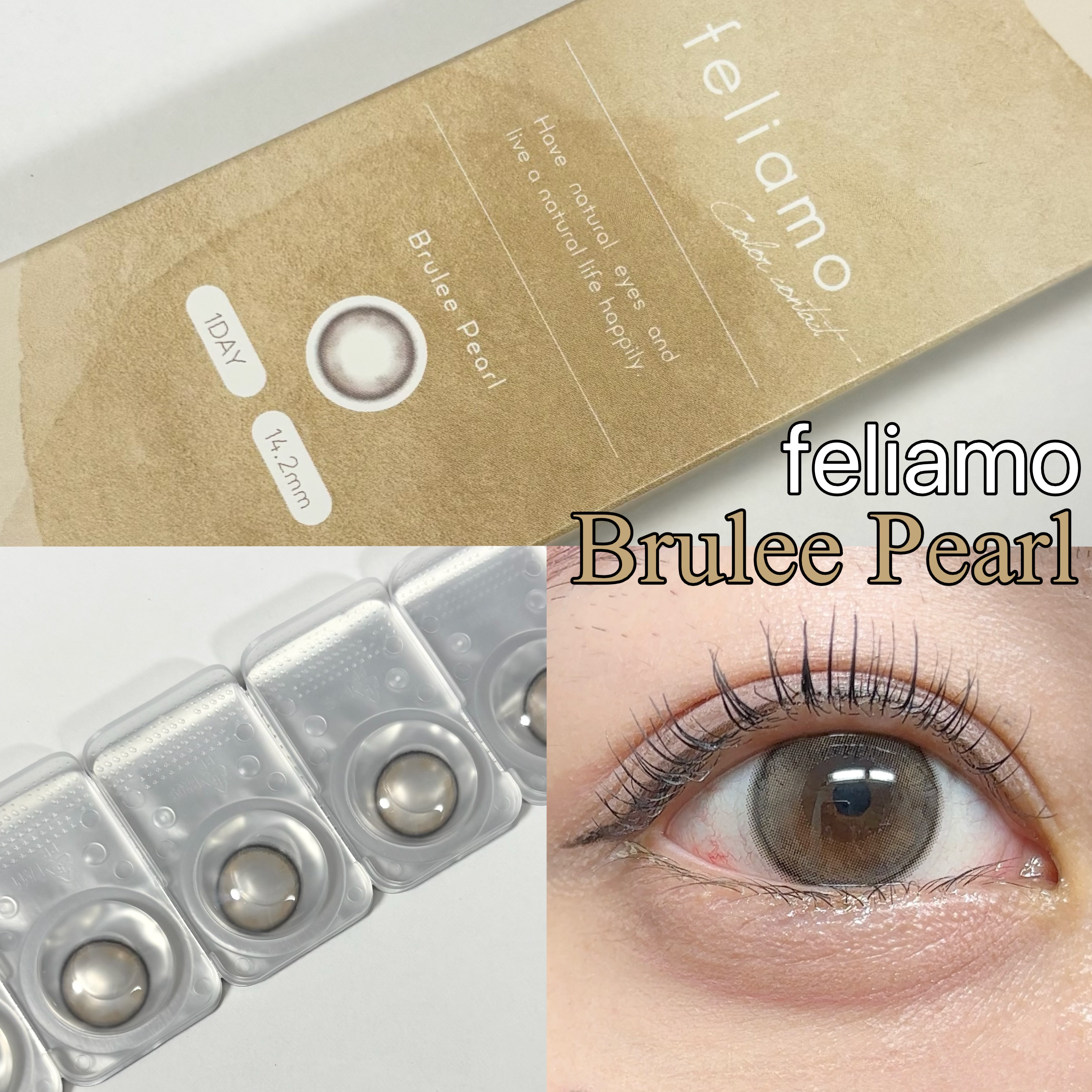 feliamo 1day ブリュレパール/feliamo/ワンデー（１DAY）カラコンを使ったクチコミ（1枚目）