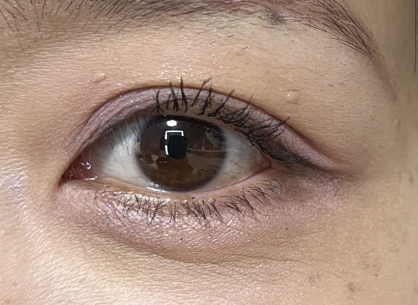 プロ アイ パレット エアー/CLIO/アイシャドウパレットを使ったクチコミ（3枚目）