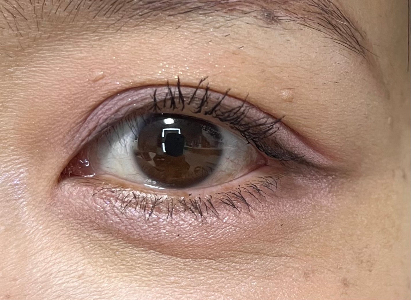 プロ アイ パレット エアー/CLIO/アイシャドウパレットを使ったクチコミ(3枚目)