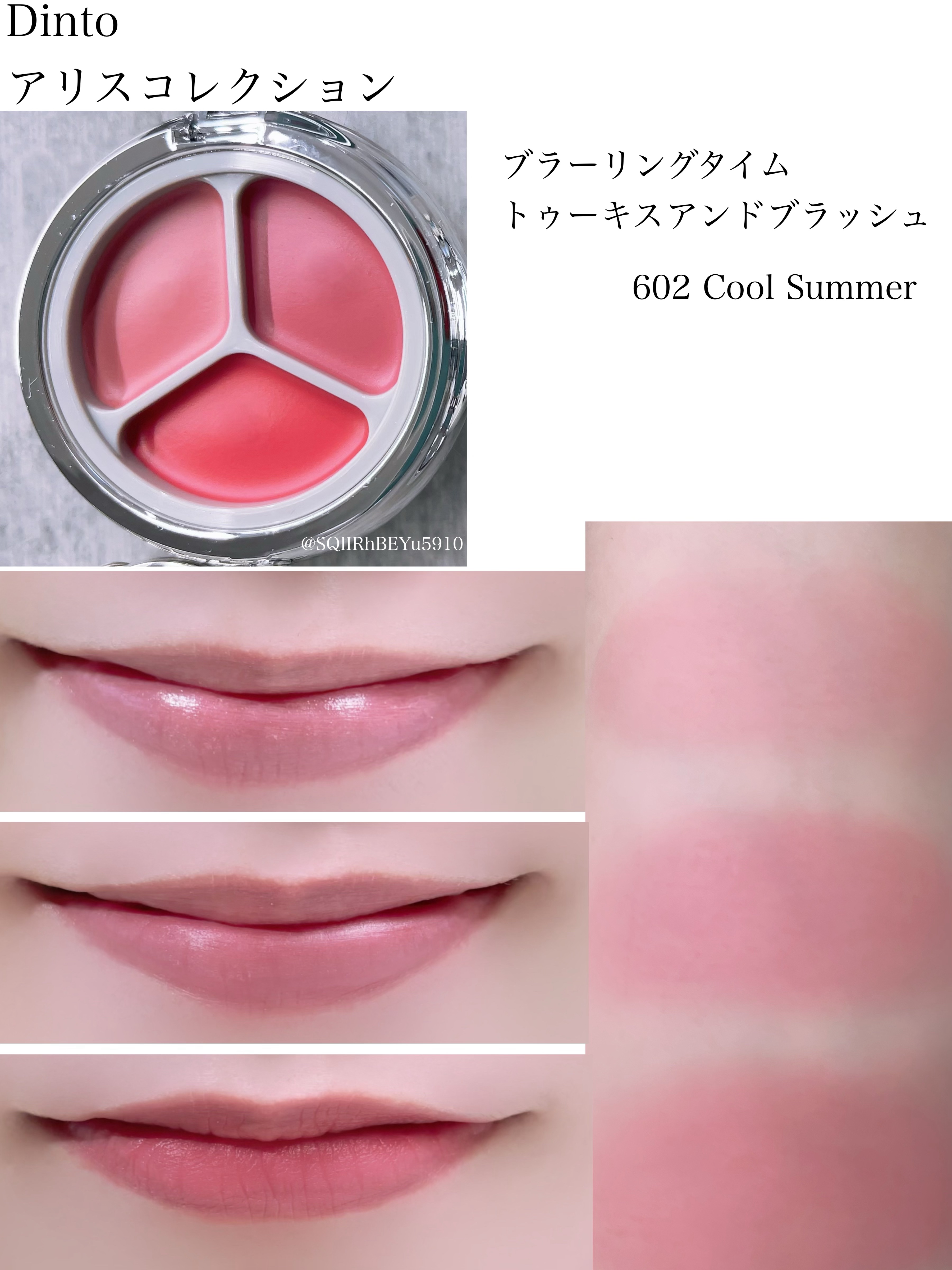 ブラーリングタイムトゥーキスアンドブラッシュ/Dinto/口紅を使ったクチコミ（3枚目）