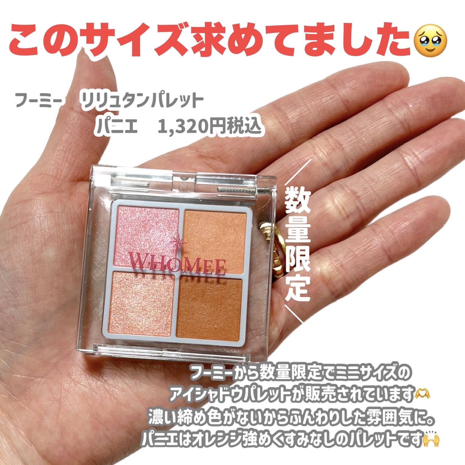 フーミー　リリュタンパレット/WHOMEE/アイシャドウパレットを使ったクチコミ（2枚目）