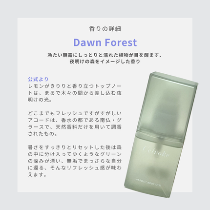 セルヴォーク リブート ボディミスト N Dawn Forest/Celvoke/ボディローションを使ったクチコミ(3枚目)