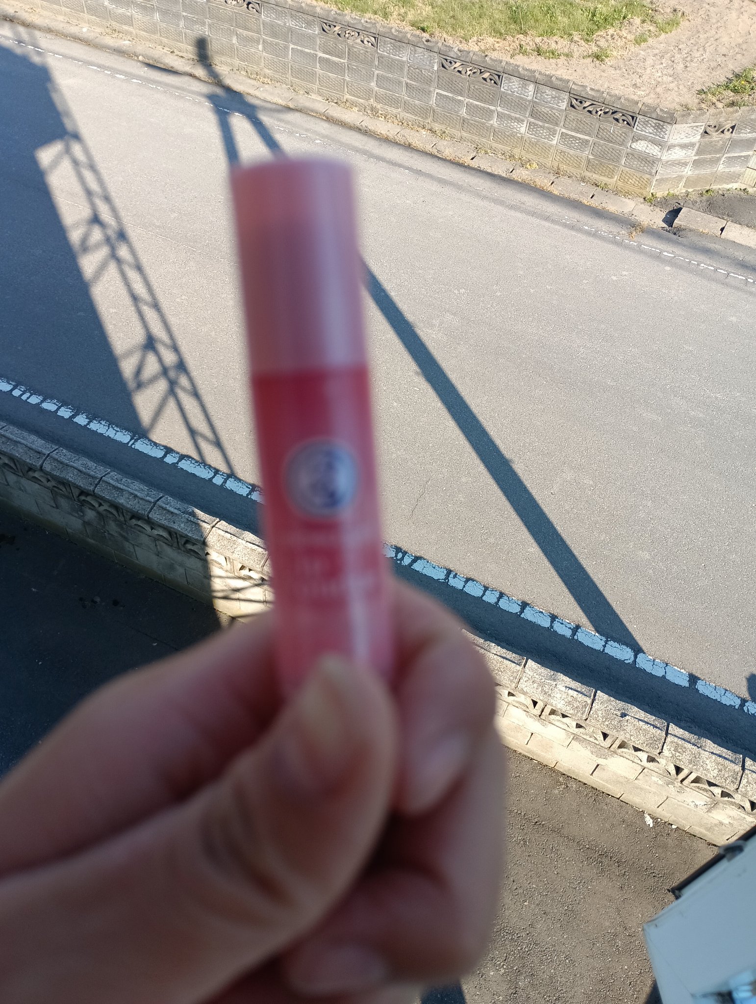 メンソレータム リップフォンデュ/メンソレータム/リッププランパーを使ったクチコミ（1枚目）