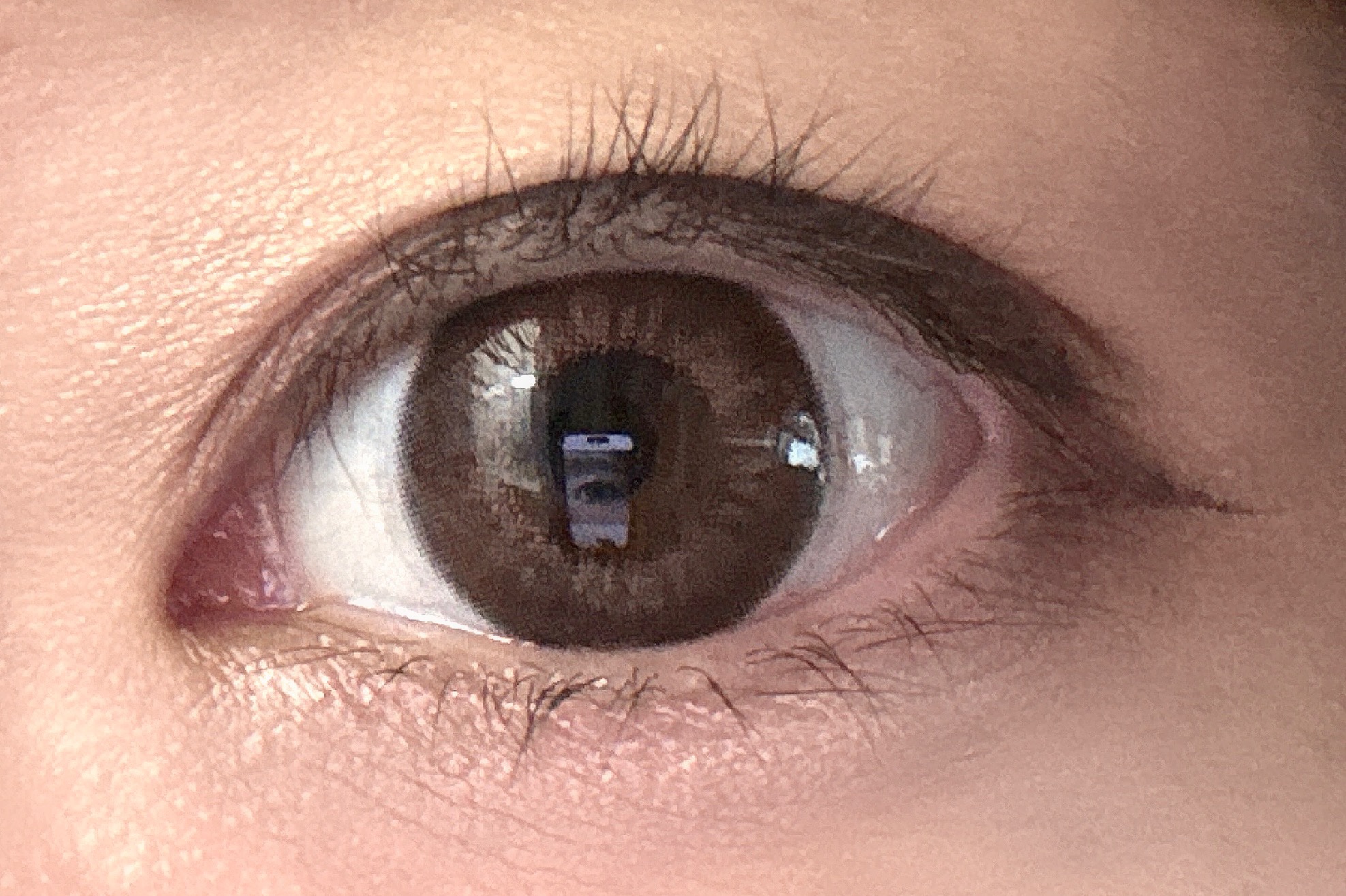 Flurry by colors 1day/Flurry by colors/ワンデー（１DAY）カラコンを使ったクチコミ（1枚目）