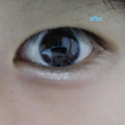 プランぷくコーデアイズNeo/キャンメイク/アイシャドウを使ったクチコミ(4枚目)