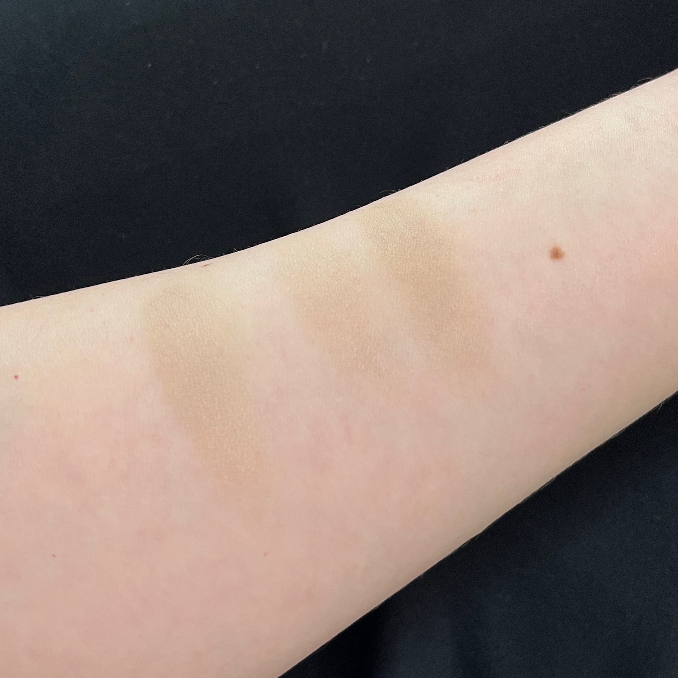 インクブイシェーディング/PERIPERA/シェーディングを使ったクチコミ（2枚目）