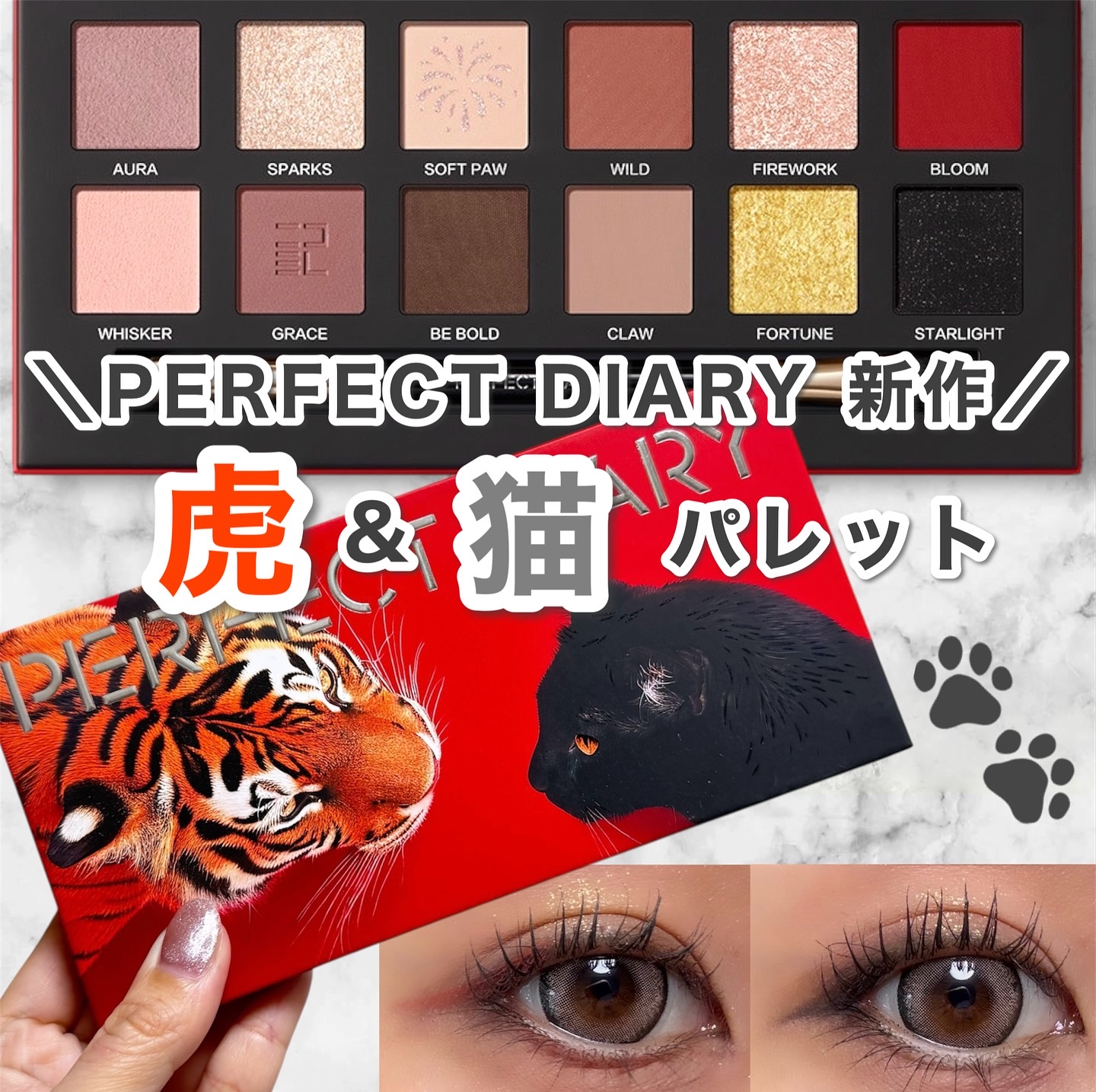 エクスプローラ12色 動物アイシャドウパレット/PERFECT DIARY/アイシャドウパレットを使ったクチコミ（1枚目）