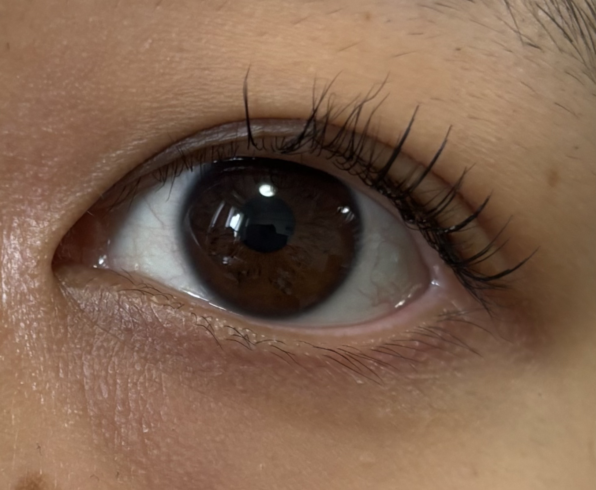 CCAM BBAK 11mm DeepOrange/CCAM BBAK/その他を使ったクチコミ（2枚目）