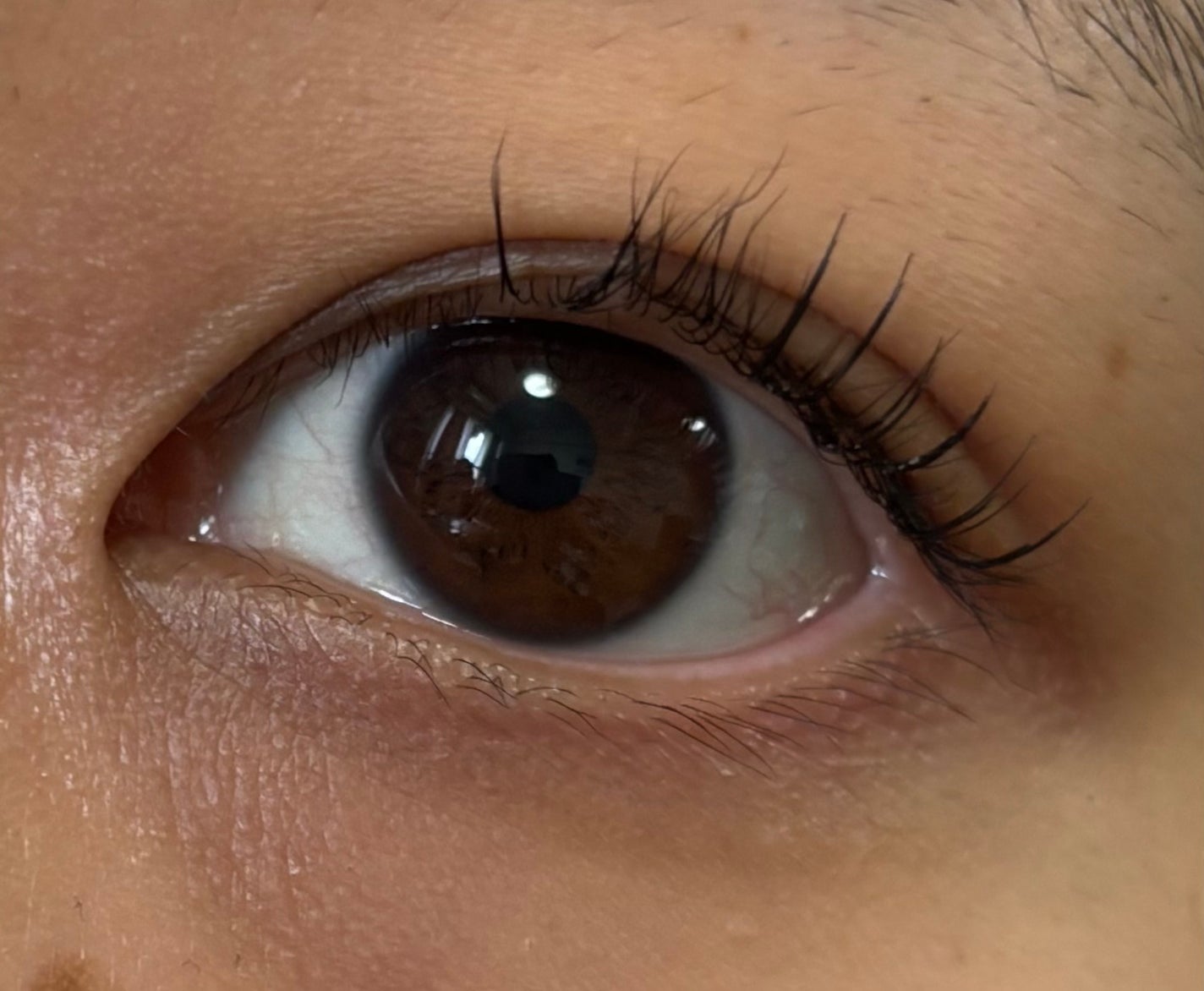 CCAM BBAK 11mm DeepOrange/CCAM BBAK/その他を使ったクチコミ(2枚目)