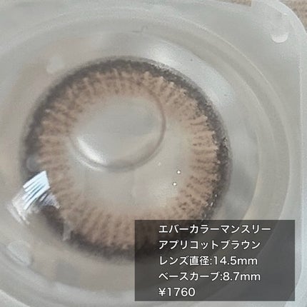 エバーカラーマンスリー/エバーカラー/1ヶ月(1MONTH)カラコンを使ったクチコミ(2枚目)