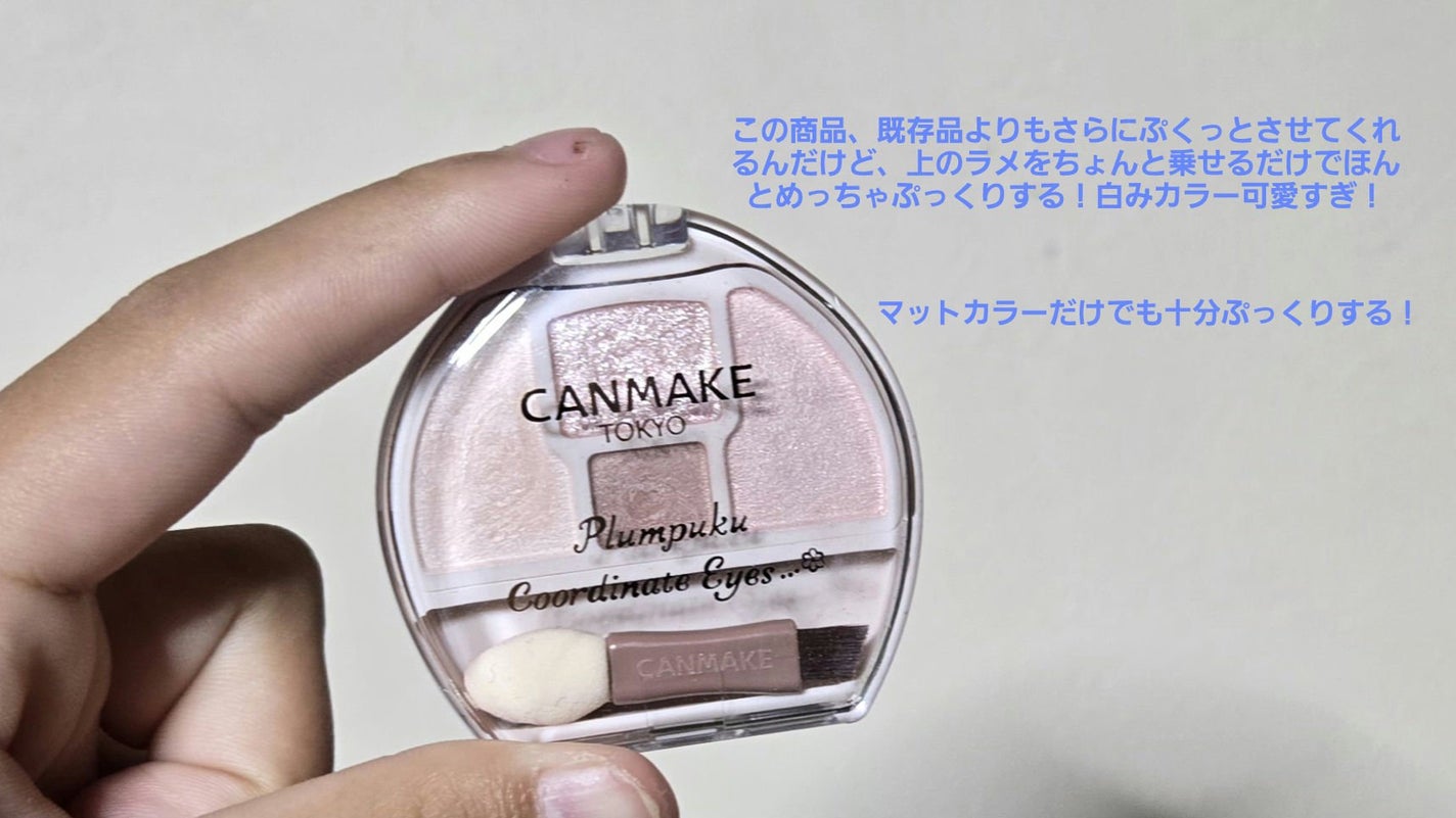 プランぷくコーデアイズNeo/キャンメイク/アイシャドウを使ったクチコミ(2枚目)