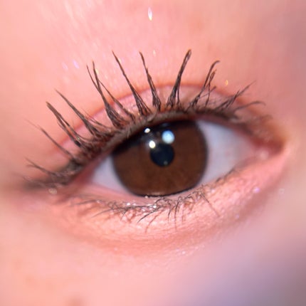 ラストオート ジェルアイライナー/BBIA/ジェルアイライナーを使ったクチコミ(5枚目)