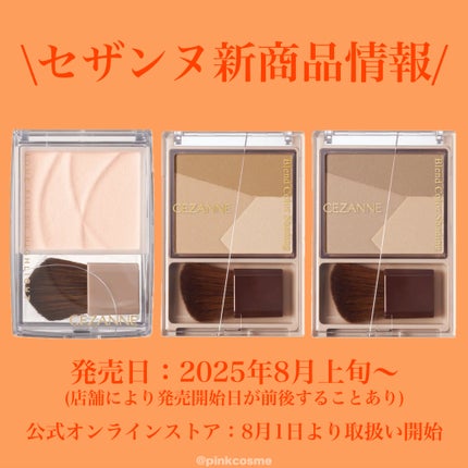 トーンフィルターハイライト/CEZANNE/パウダーハイライトを使ったクチコミ(4枚目)