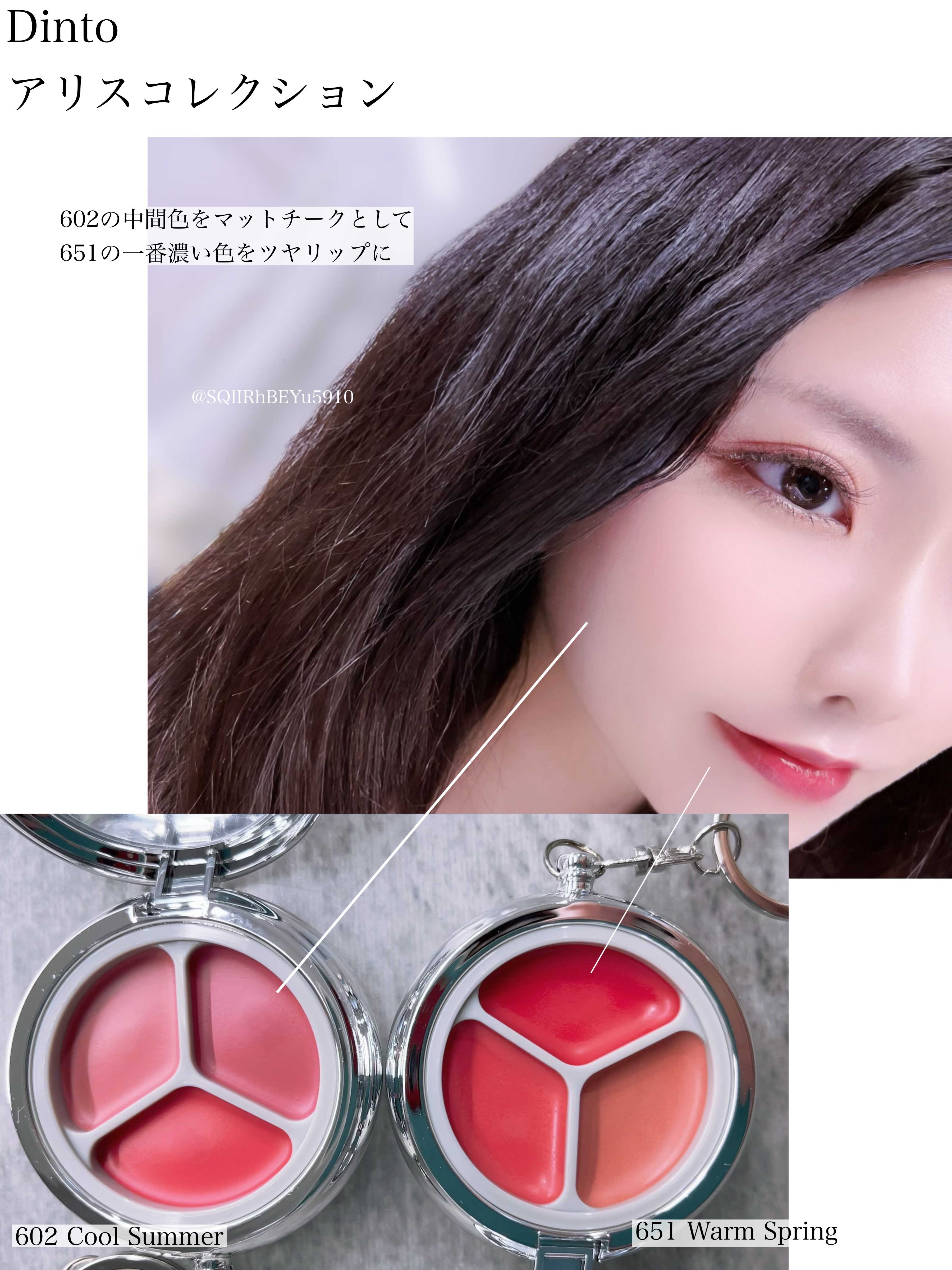 ブラーリングタイムトゥーキスアンドブラッシュ/Dinto/口紅を使ったクチコミ（1枚目）