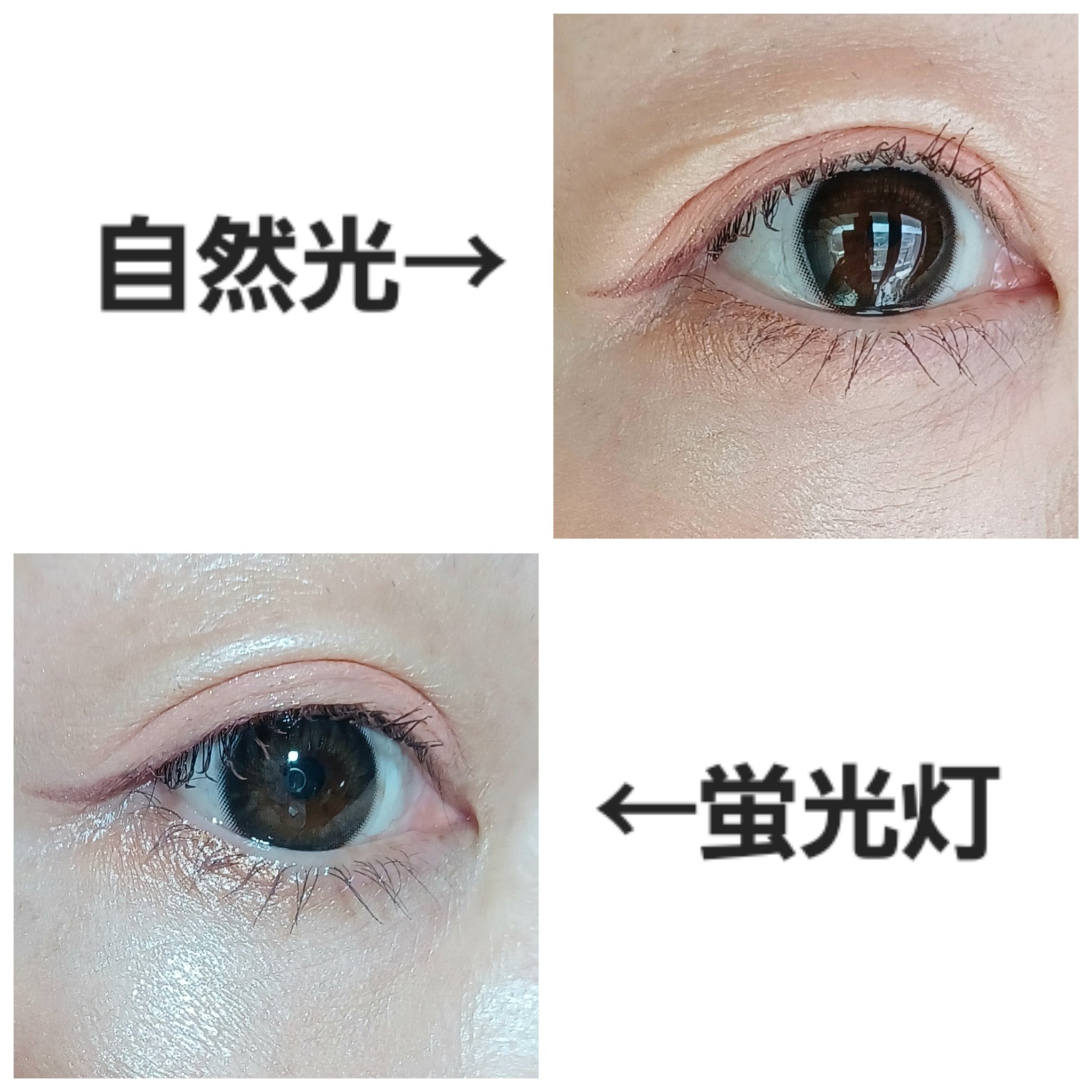 リッチスタンダード2WEEKシリーズ/RICH STANDARD/２週間（２WEEKS）カラコンを使ったクチコミ（3枚目）