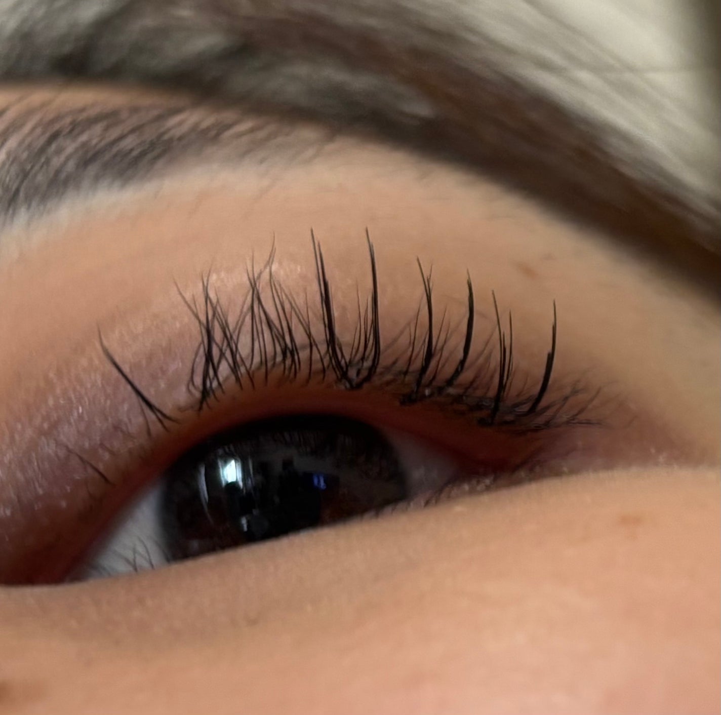 CCAM BBAK 11mm DeepOrange/CCAM BBAK/その他を使ったクチコミ(3枚目)