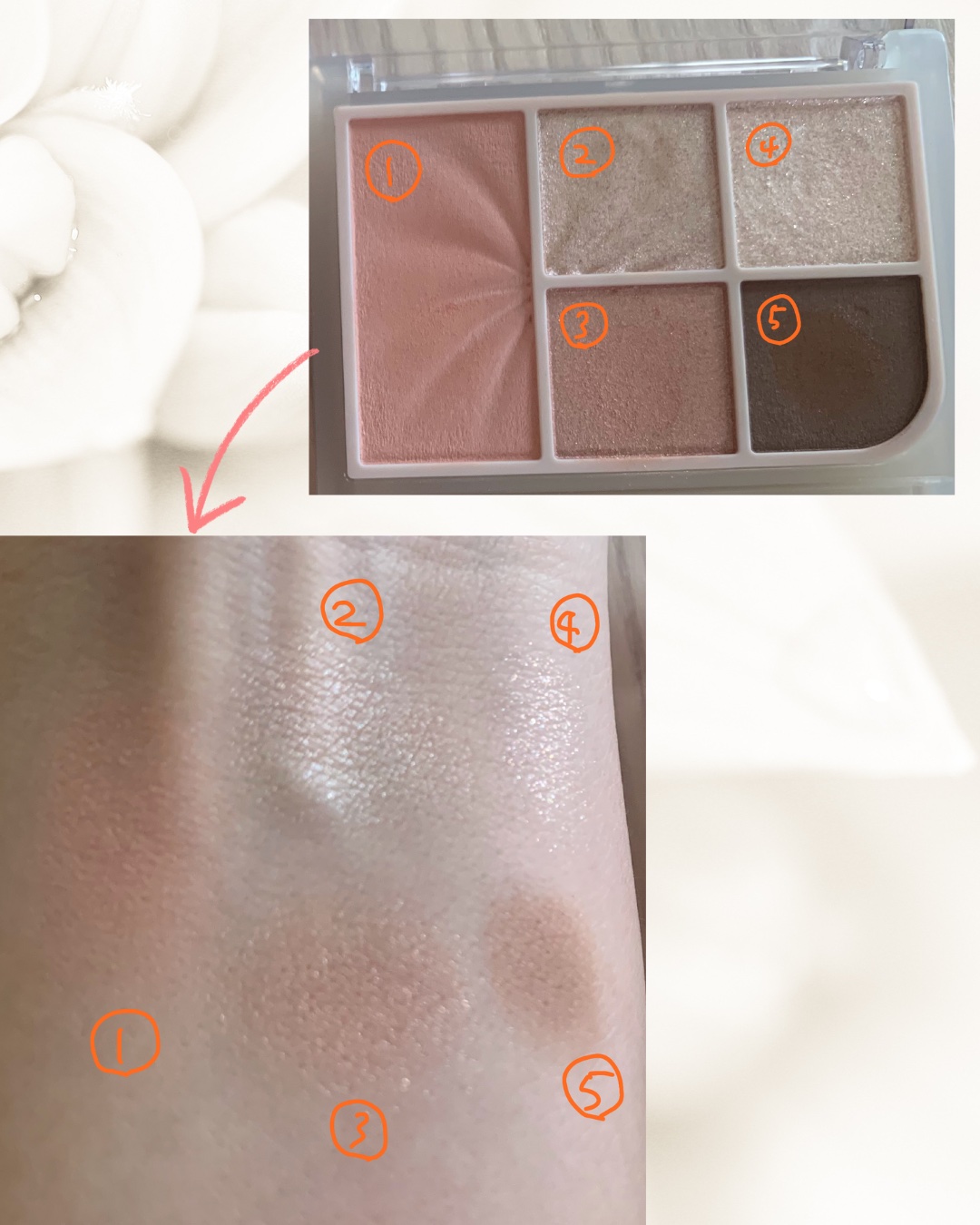 フェイスアイパレット/CEZANNE/アイシャドウを使ったクチコミ（3枚目）