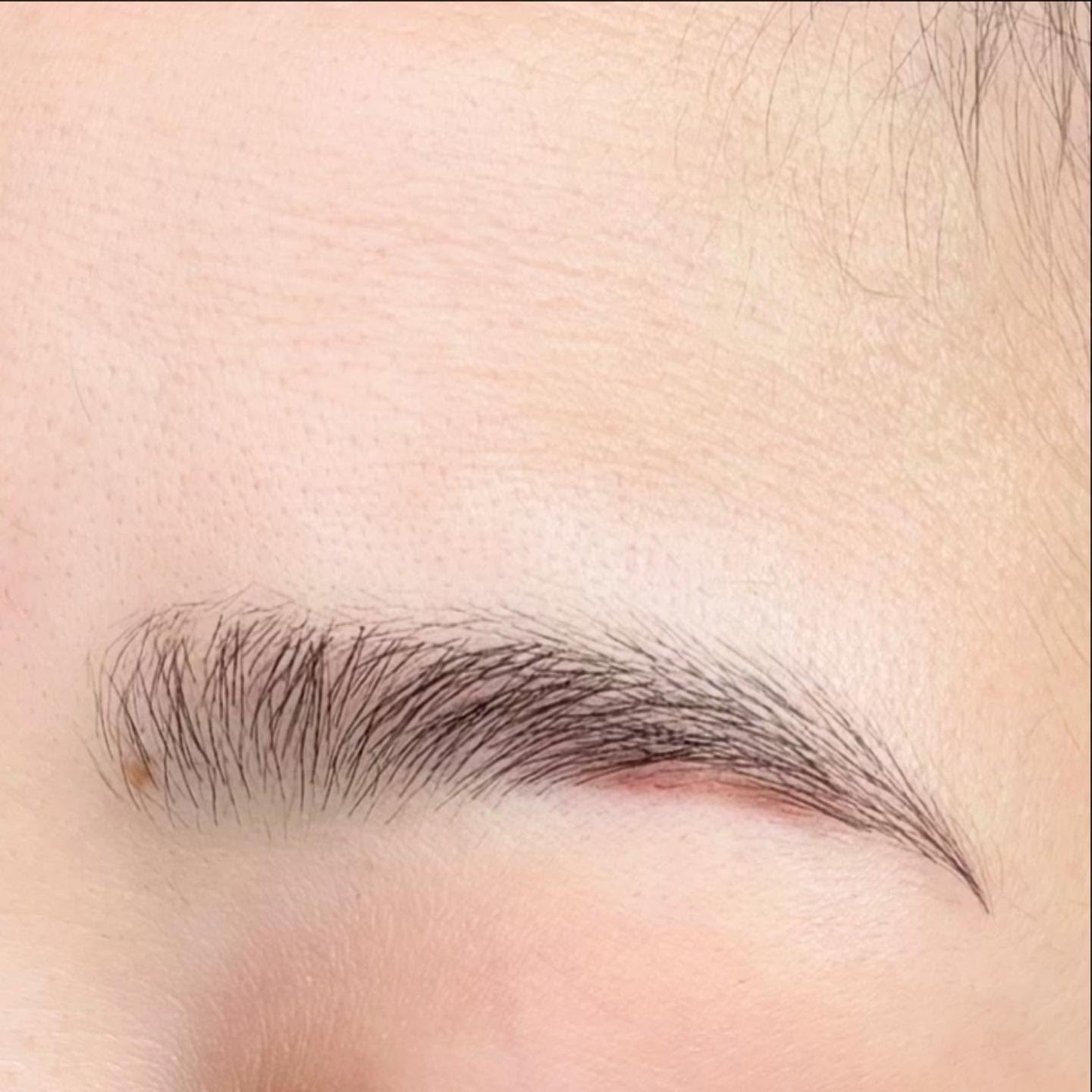 ジルスチュアート ムースブロウマスカラ/JILL STUART/眉マスカラを使ったクチコミ(3枚目)