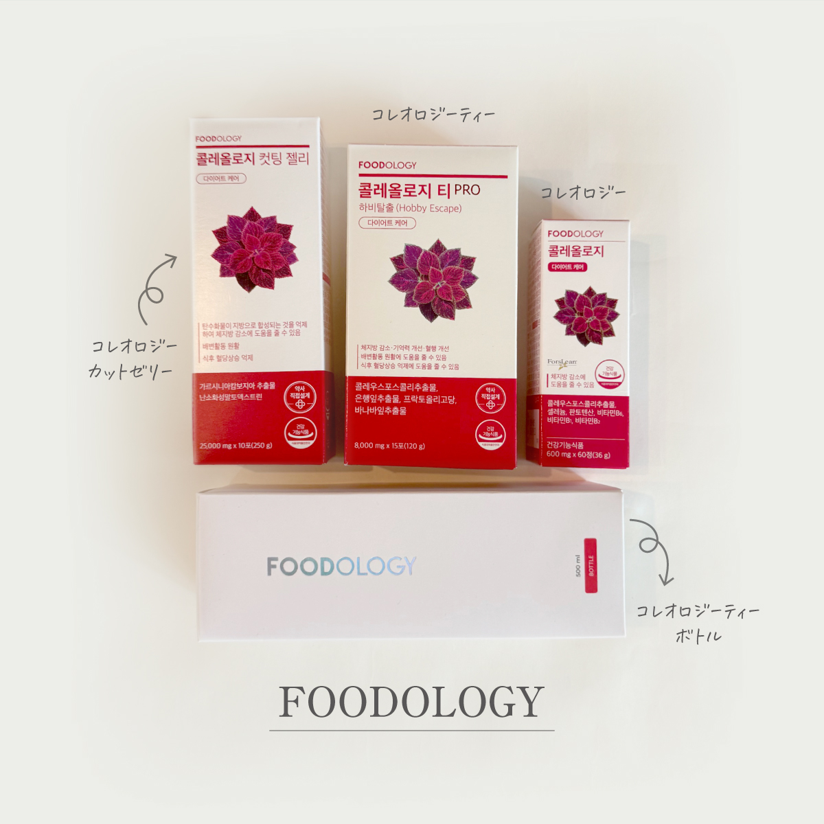 FOODOLOGYのサプリメント・フード コレオロジーティー＆コ