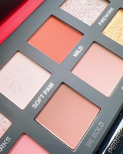 エクスプローラ12色 動物アイシャドウパレット/PERFECT DIARY/アイシャドウパレットを使ったクチコミ(4枚目)