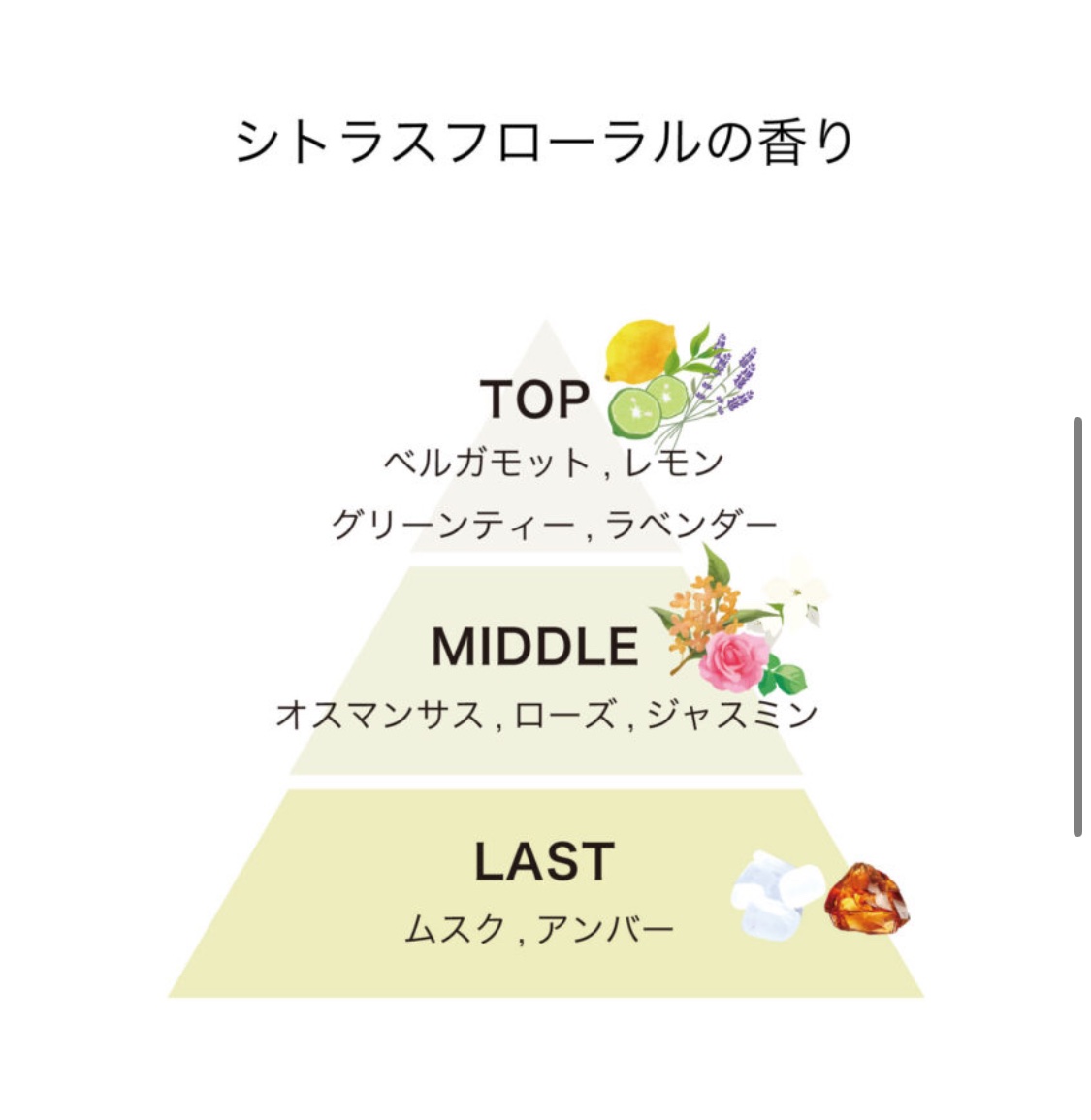 トラック オイル/track/ヘアオイルを使ったクチコミ（2枚目）