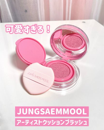 アーティストクッションブラッシュ/JUNG SAEM MOOL/リキッドチークを使ったクチコミ(1枚目)