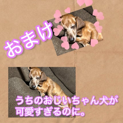 レブロン カラーステイ デイ トゥ ナイト アイシャドウ クアッド/REVLON/アイシャドウパレットを使ったクチコミ(3枚目)