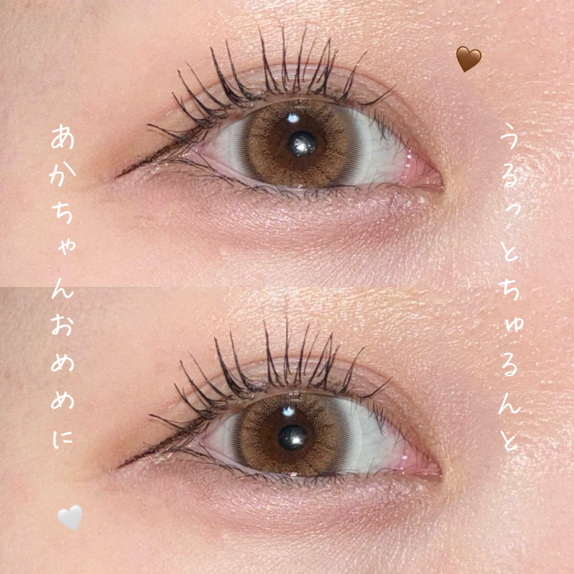 HoneyDrops 1day 15.0mm ベビーブラウン/HONEY DROPS/ワンデー（１DAY）カラコンを使ったクチコミ（1枚目）