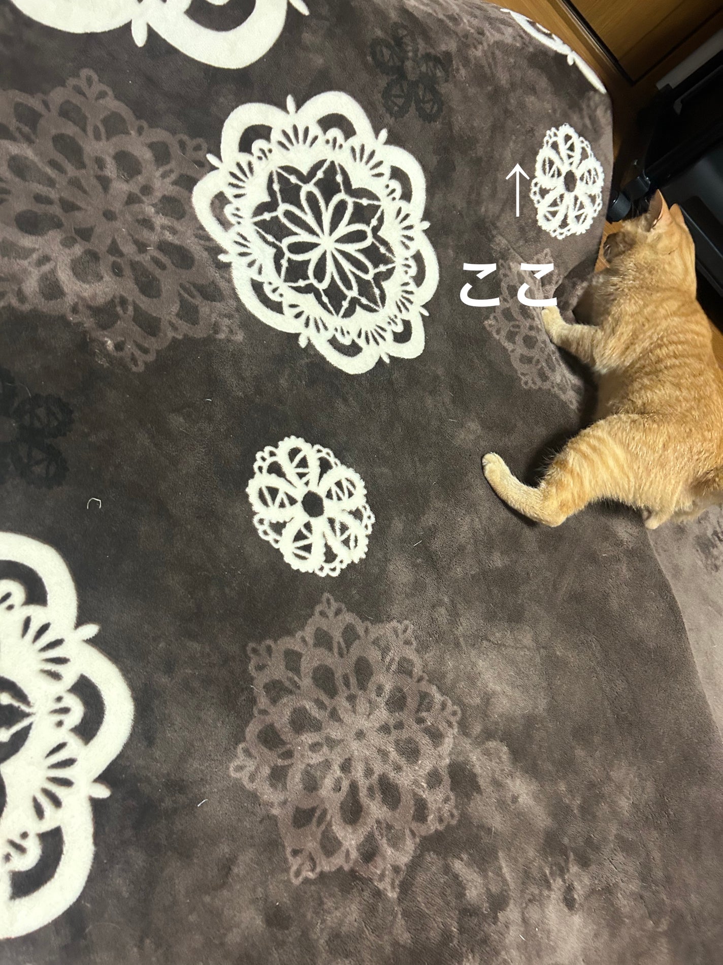 ðââ¬ã«ãããðŸ on LIPS ãæ·ç©ã波波ã«ããŠéã¶ã«ãããã埮ç¬ãŸããå芳ããªããæ·ç©ãªãã..ãïŒ4æç®ïŒ