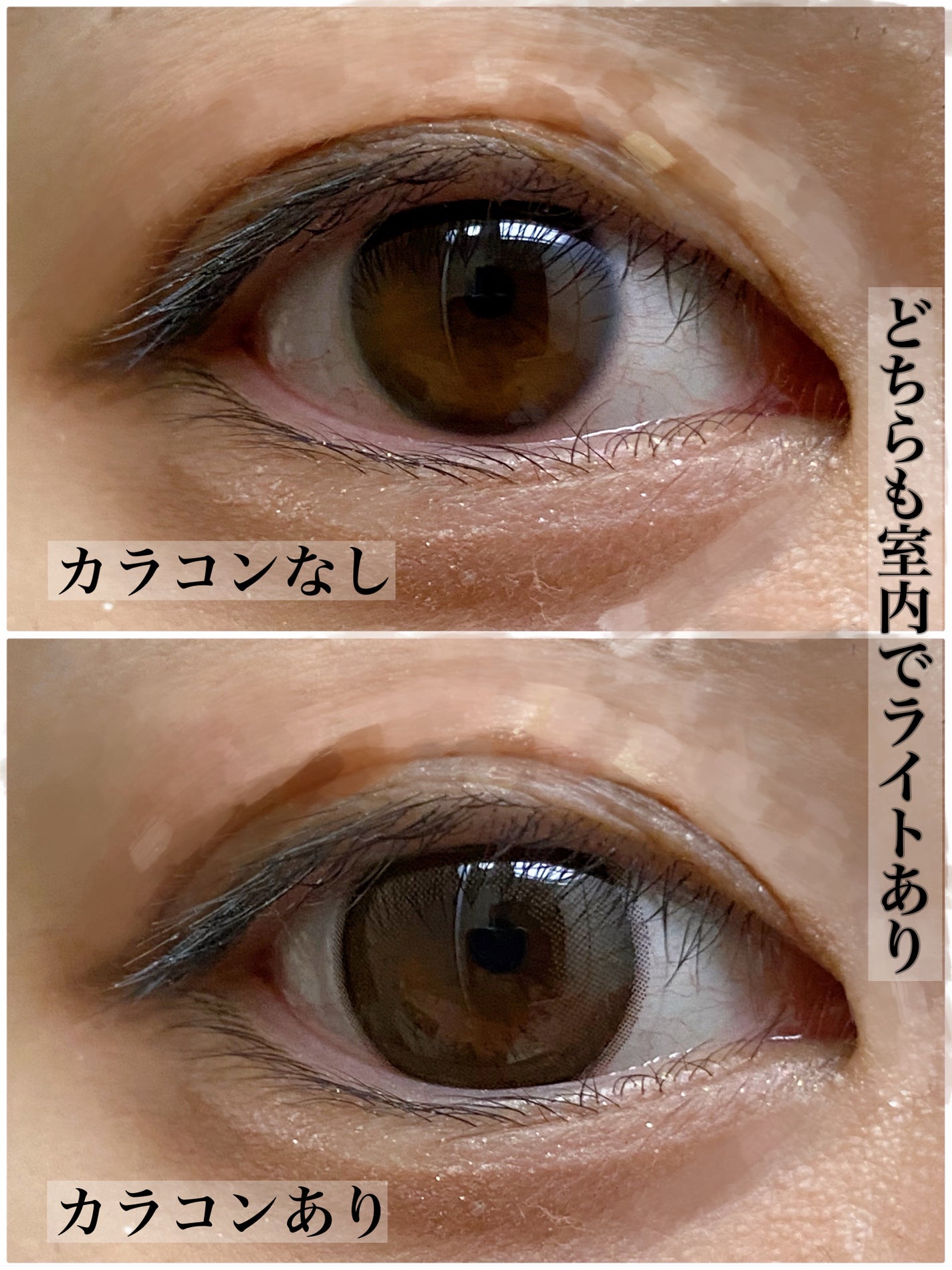 エバーカラーワンデー ナチュラル/エバーカラー/ワンデー(1DAY)カラコンを使ったクチコミ(3枚目)