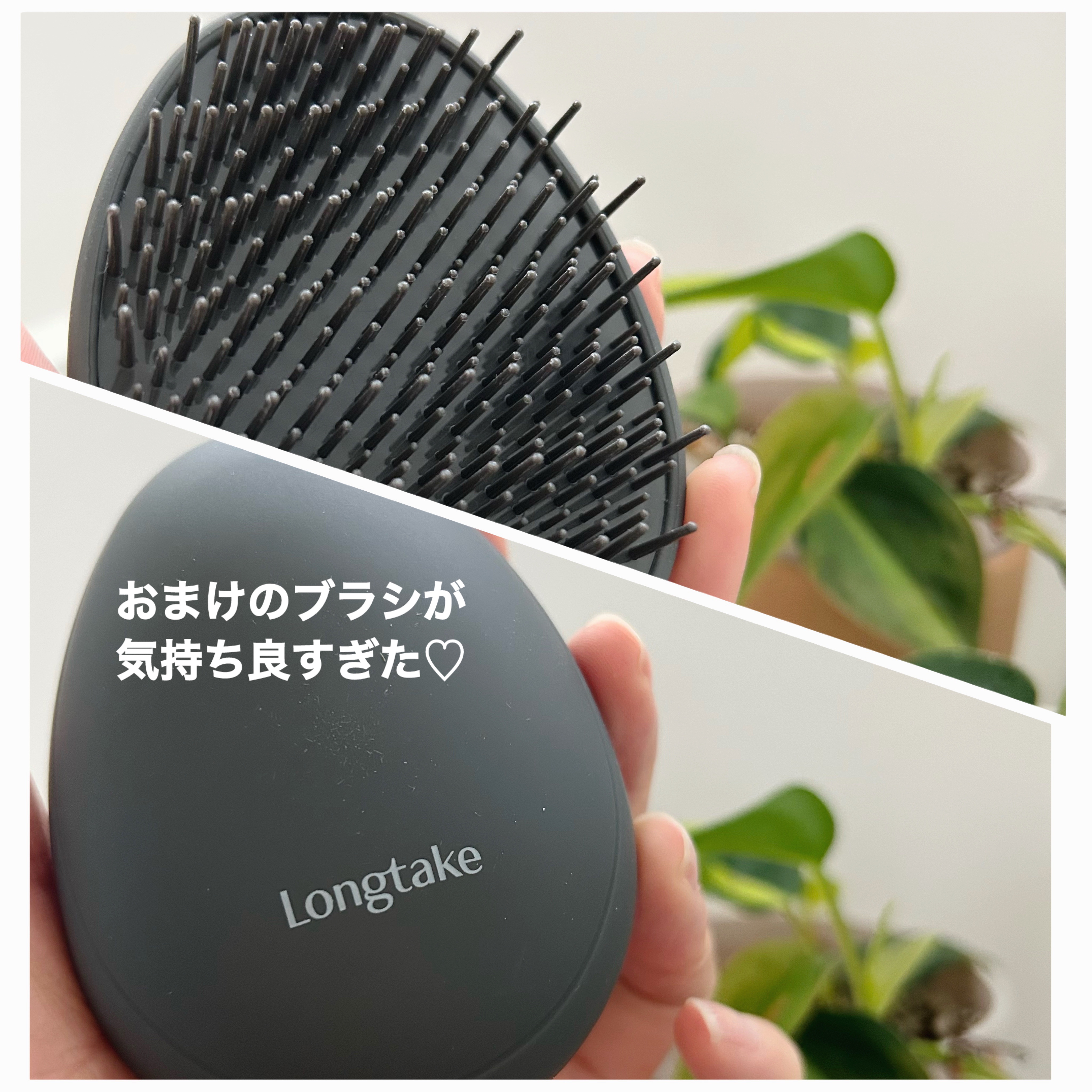 BLACK TEA & FIG SOFTENING HAIR OIL/Longtake/ヘアオイルを使ったクチコミ（2枚目）