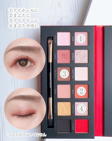 エクスプローラ12色 動物アイシャドウパレット/PERFECT DIARY/アイシャドウパレットを使ったクチコミ(7枚目)