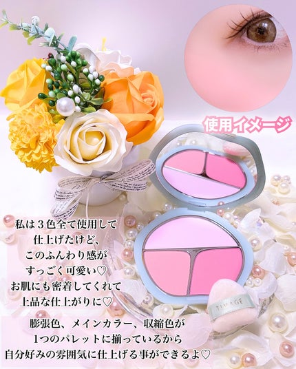 TIMAGE 3色チークパレット/TIMAGE/パウダーチークを使ったクチコミ(4枚目)