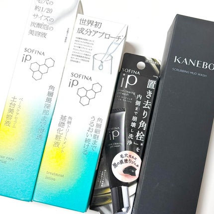 スクラビング マッド ウォッシュ/KANEBO/洗顔フォームを使ったクチコミ(1枚目)