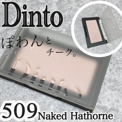 ブラーフィニシュブラッシャー 509 ネイキッドホーソーン/Dinto/パウダーチークの画像