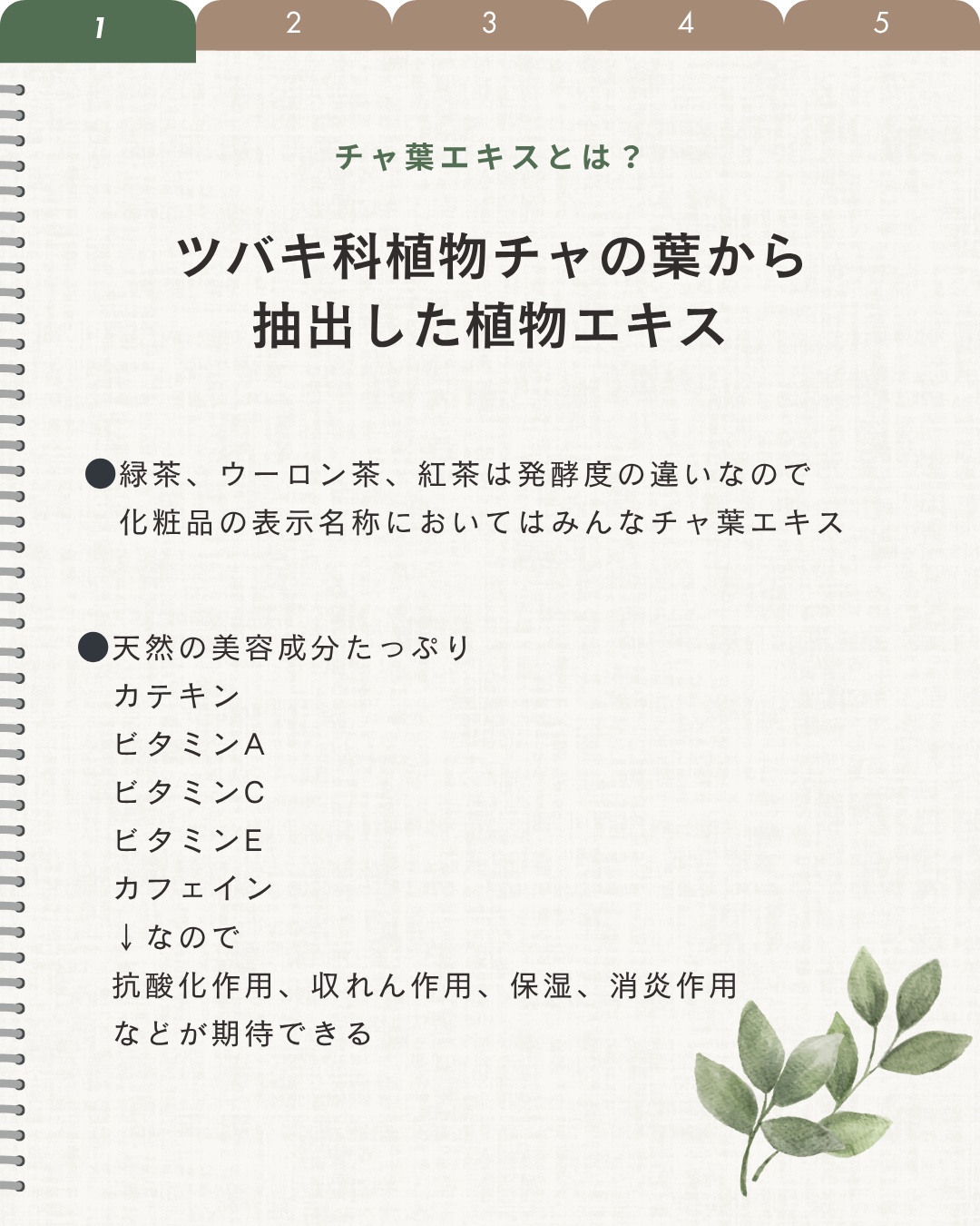 レチノール PDRN アドバンスド セラム/innisfree/美容液を使ったクチコミ（2枚目）