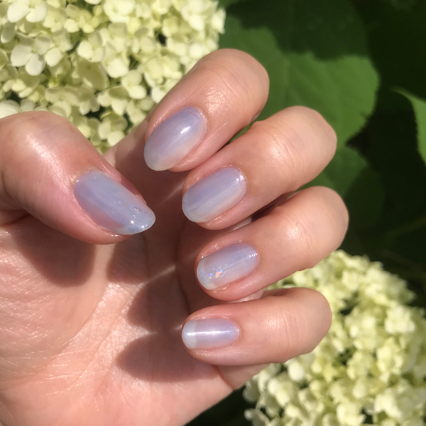 カラフルネイルズ/キャンメイク/マニキュアを使ったクチコミ(1枚目)