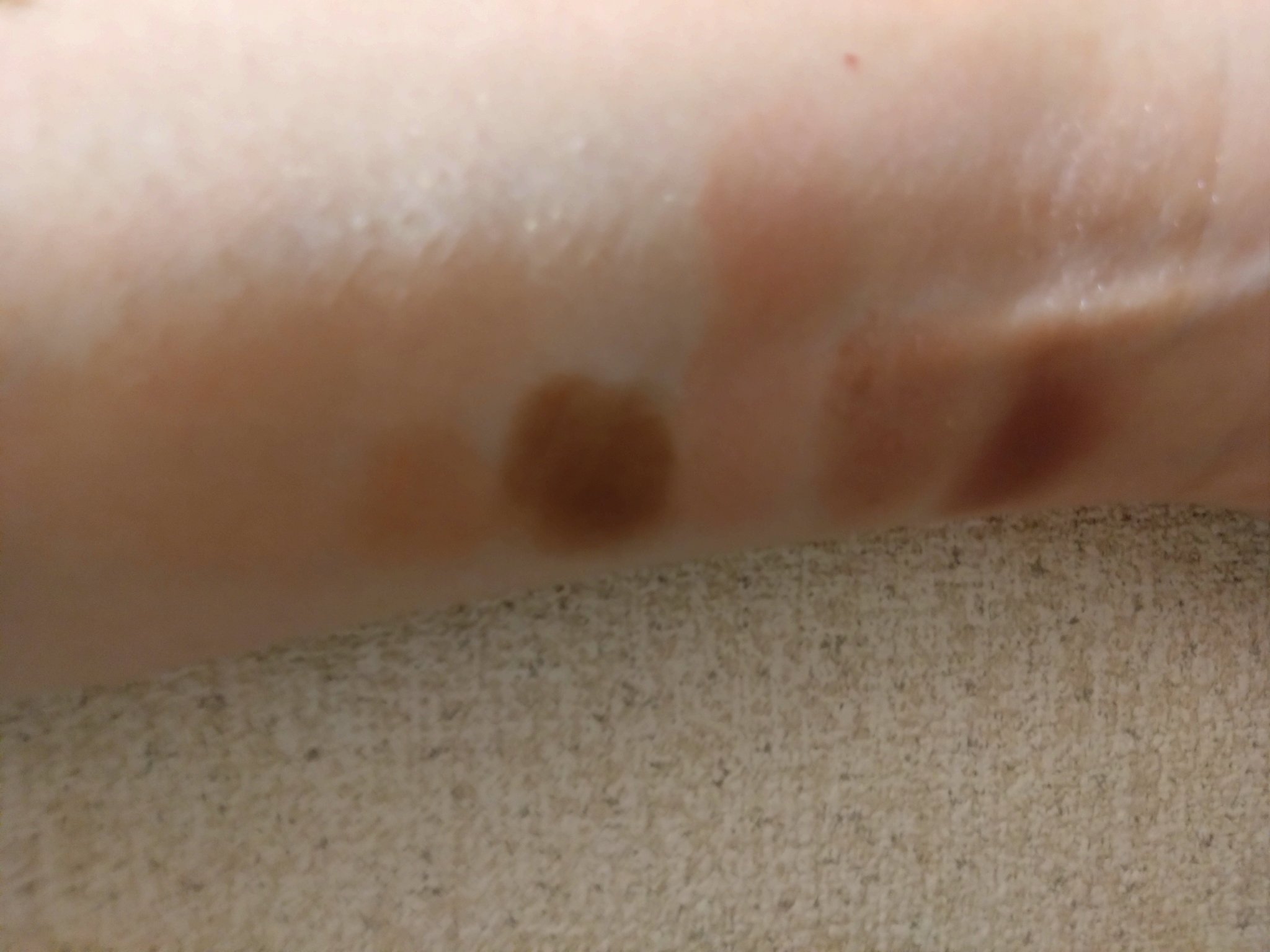 ペールトーンアイシャドウ/CEZANNE/アイシャドウを使ったクチコミ（3枚目）