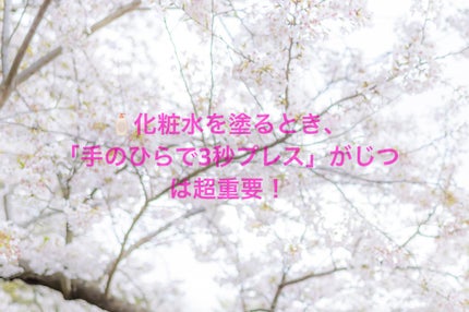 ハトムギ化粧水(ナチュリエ スキンコンディショナー R )/ナチュリエ/化粧水を使ったクチコミ(1枚目)