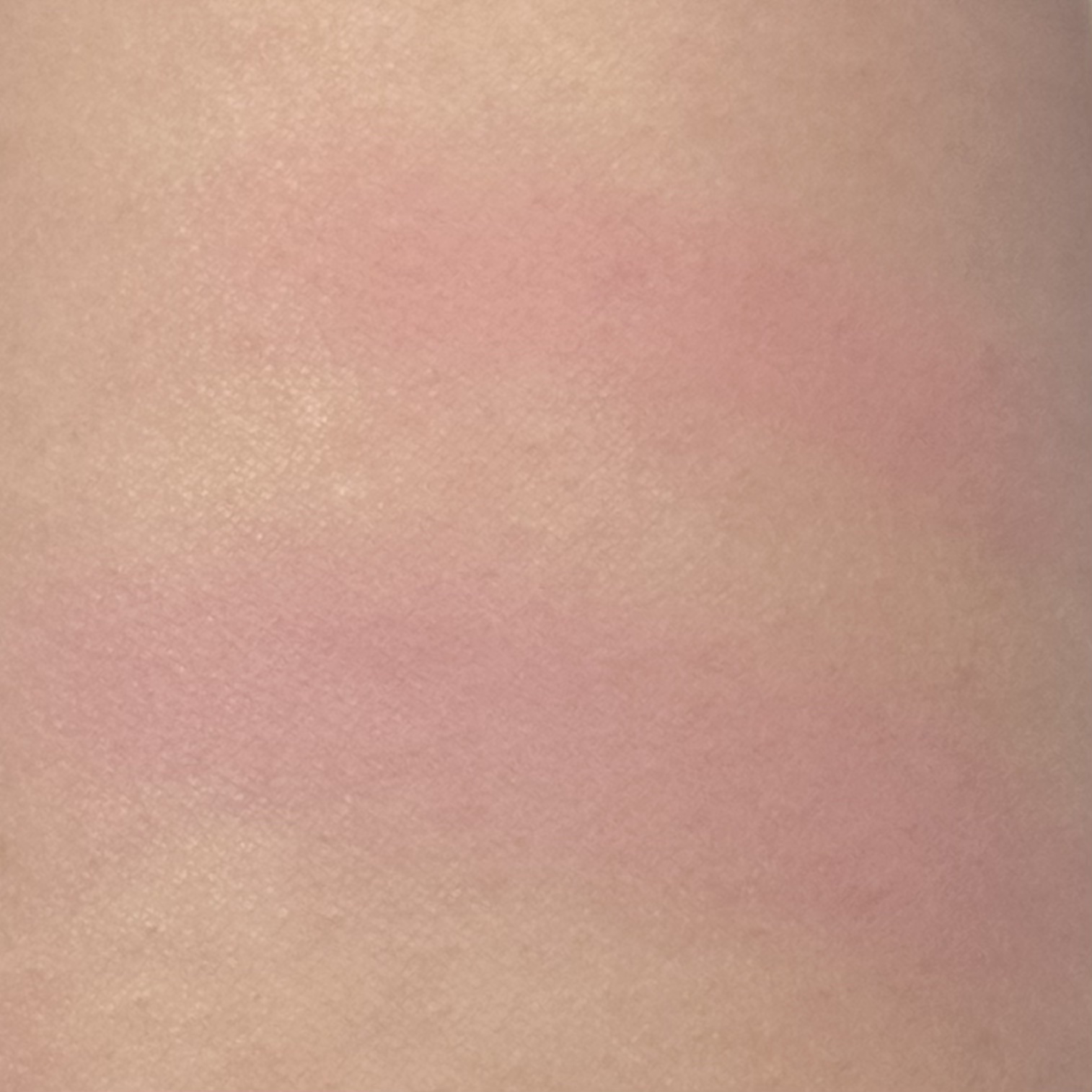 バニラコ ロマンティック ブラッシュ リップ＆チーク/BANILA CO/口紅を使ったクチコミ（3枚目）