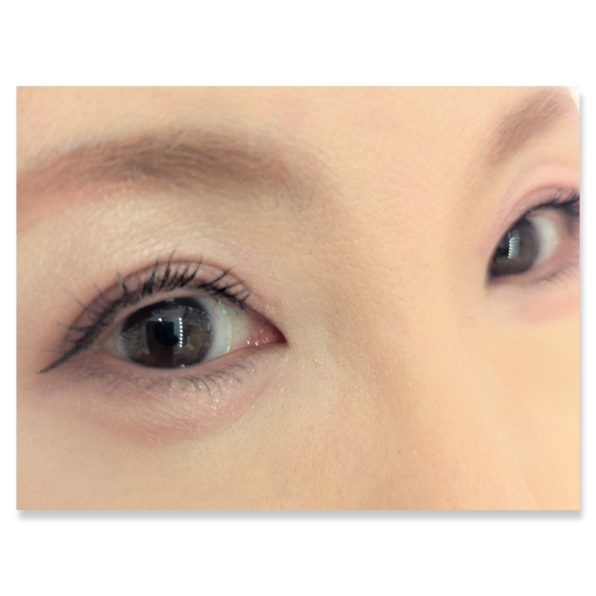 フェイスアイパレット/CEZANNE/アイシャドウを使ったクチコミ（2枚目）