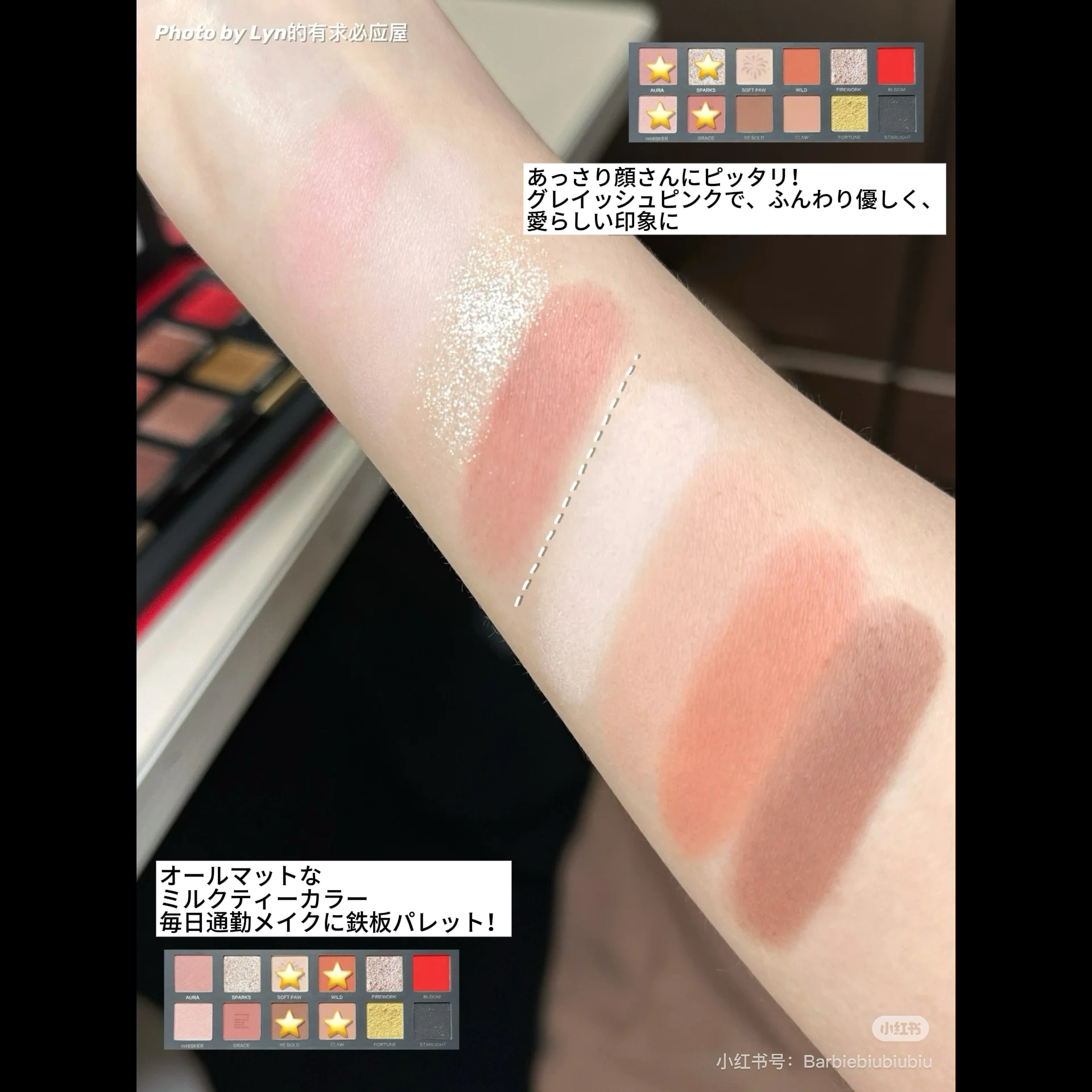 エクスプローラ12色 動物アイシャドウパレット/PERFECT DIARY/アイシャドウパレットを使ったクチコミ（3枚目）