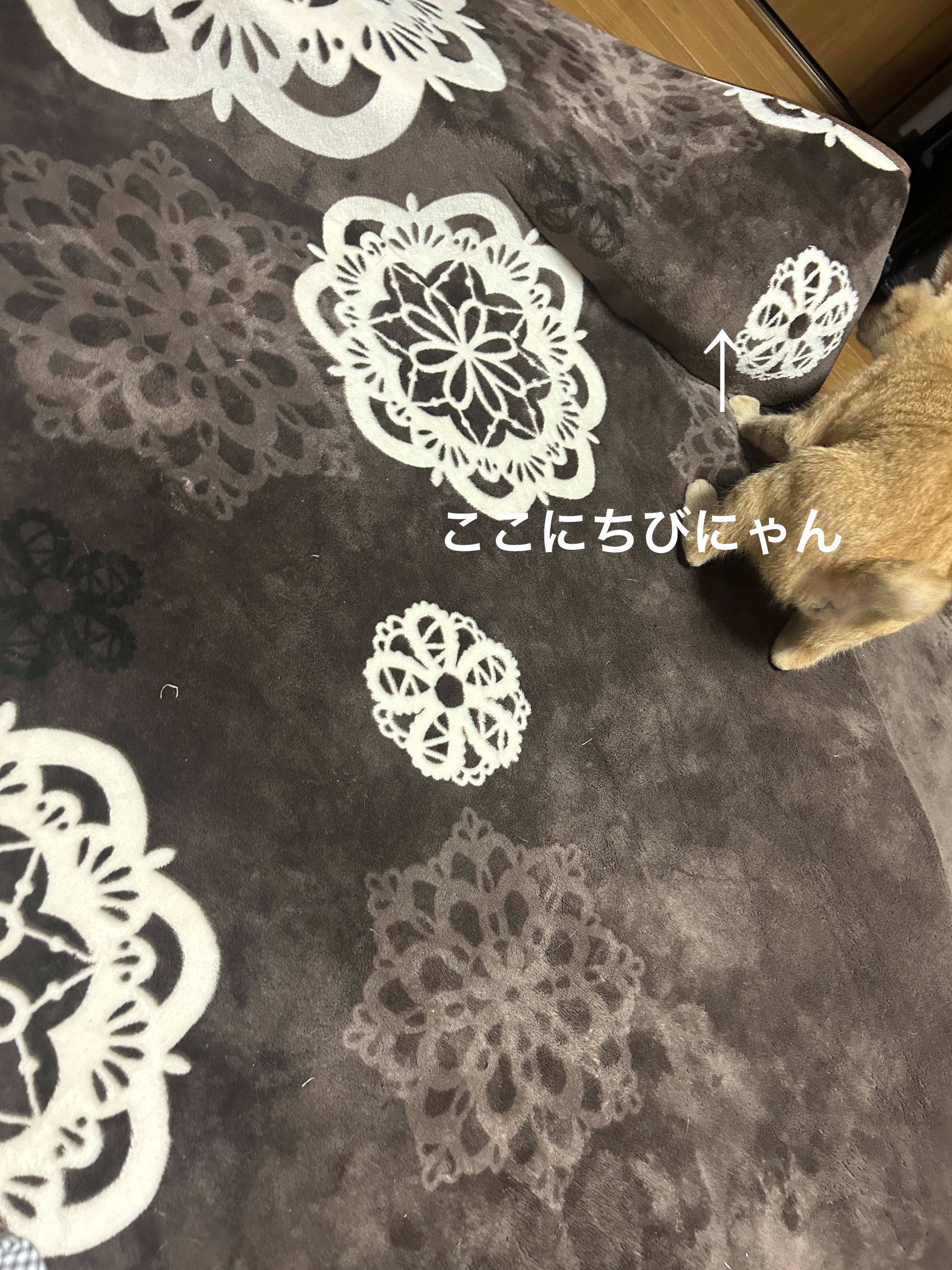 を使ったクチコミ（3枚目）