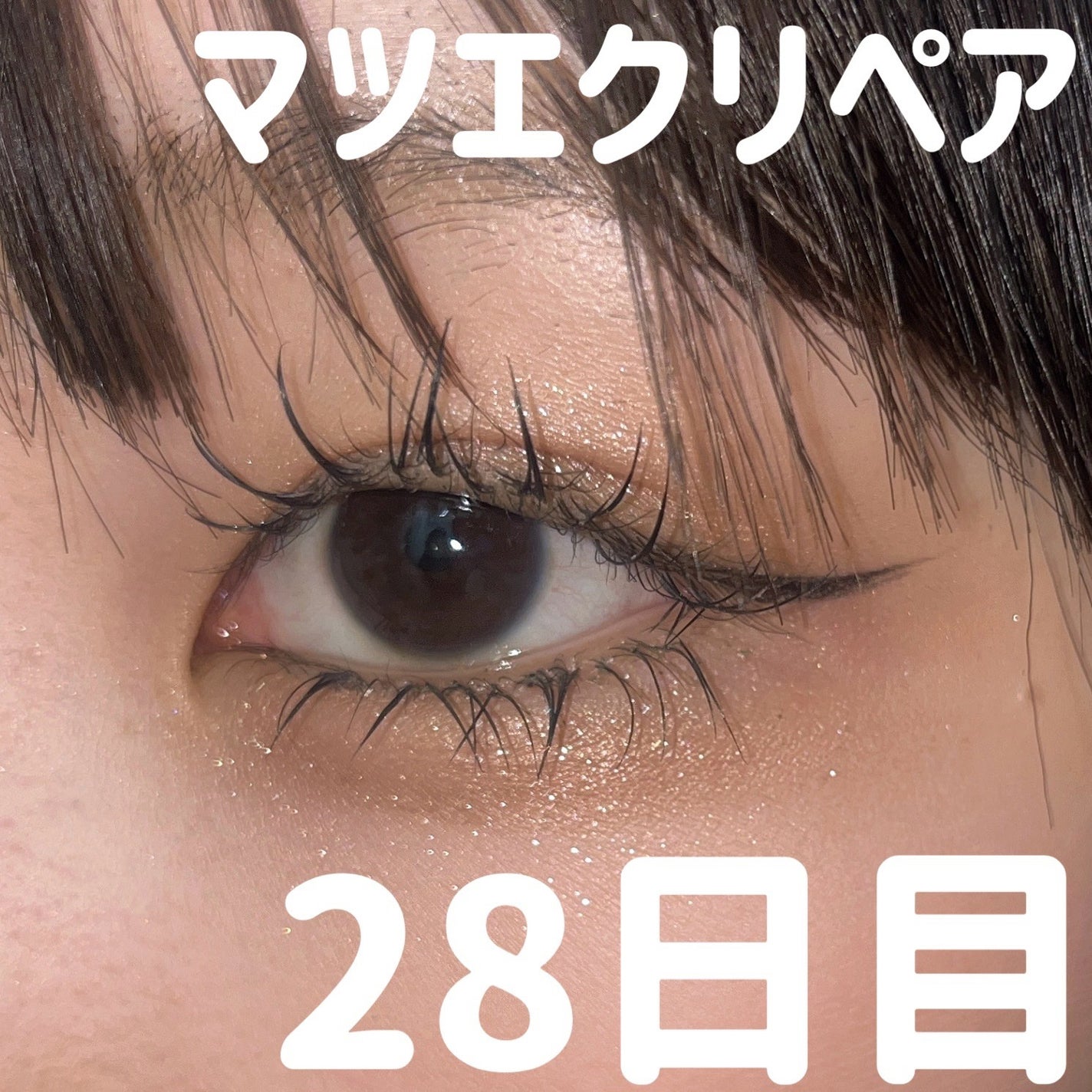 ルナソル アイカラーレーションN/LUNASOL/アイシャドウパレットを使ったクチコミ(1枚目)