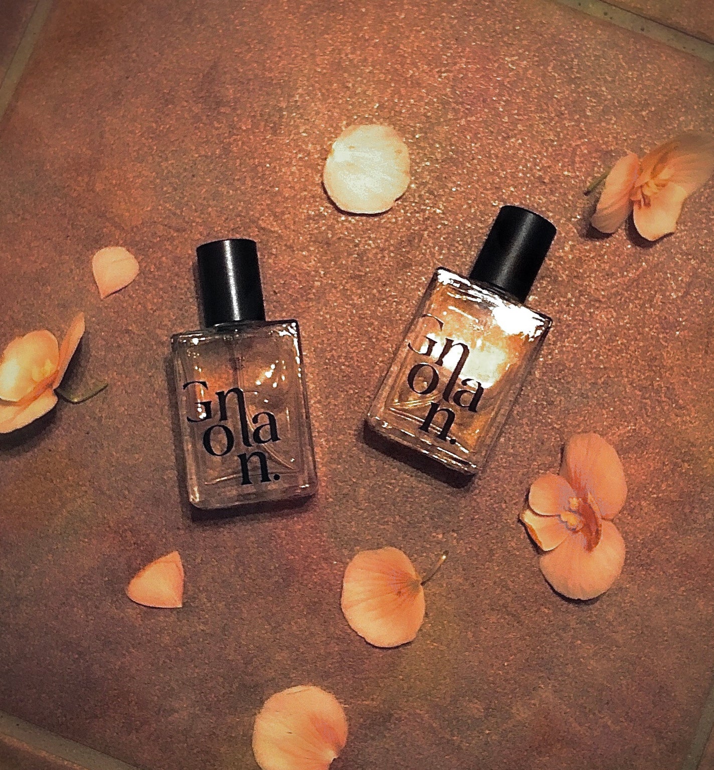 駒牡丹 on LIPS 「【GONLAN(コンラン)】PERFUMEKITTYBOOTY..」(1枚目)