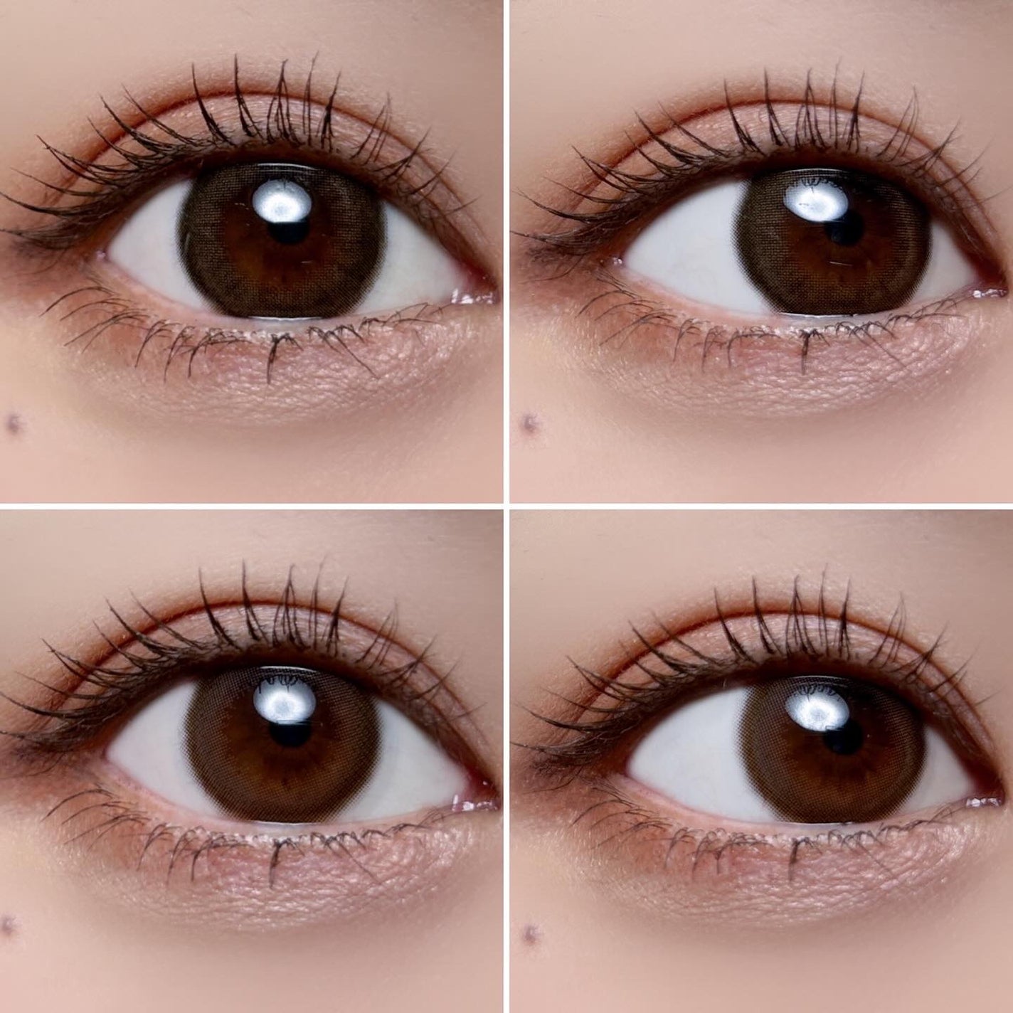 TOPARDS 1month/TOPARDS/1ヶ月(1MONTH)カラコンを使ったクチコミ(4枚目)