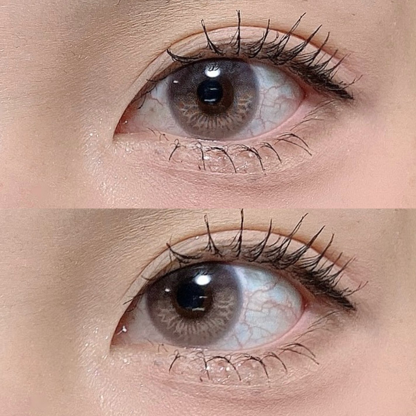 カラーミキシングコンシーラー/キャンメイク/パレットコンシーラーを使ったクチコミ(8枚目)